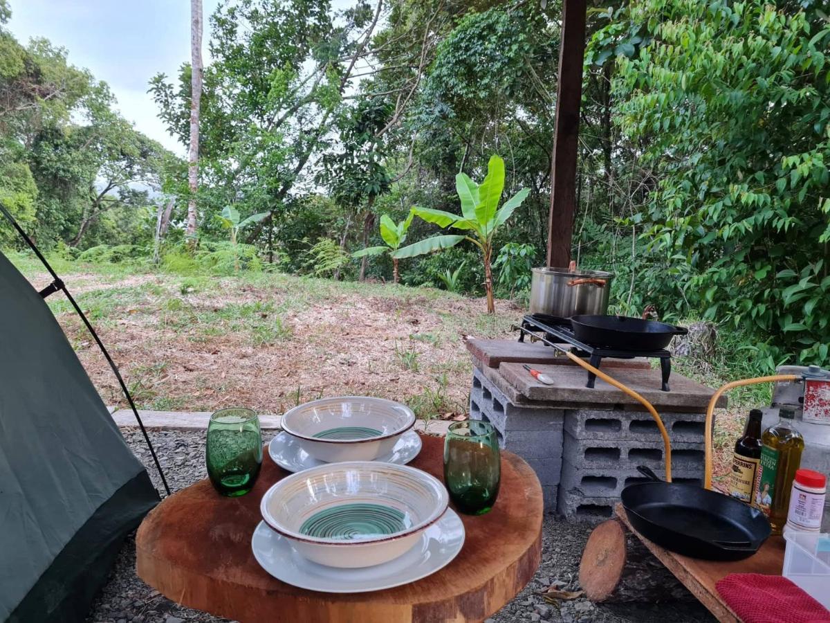 Jungle Eco Reserve Colon Exterior foto