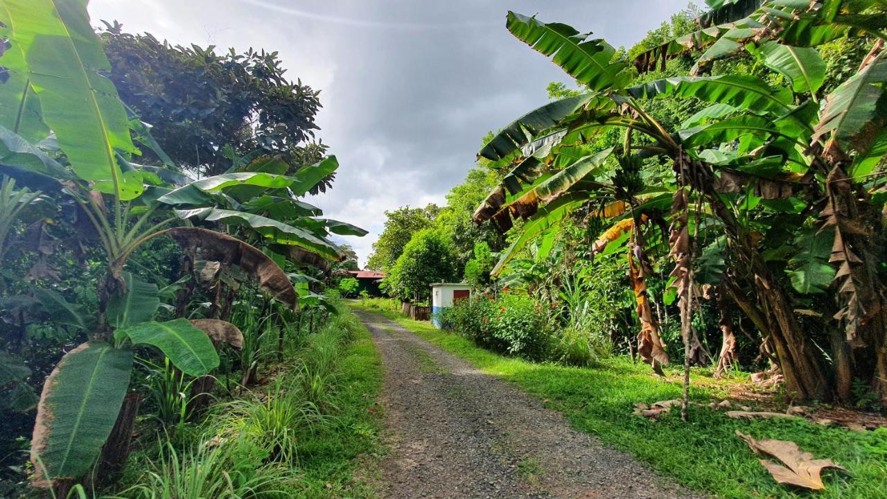 Jungle Eco Reserve Colon Exterior foto