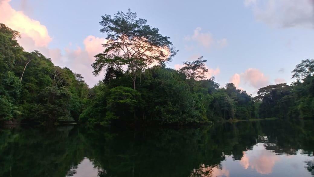 Jungle Eco Reserve Colon Exterior foto