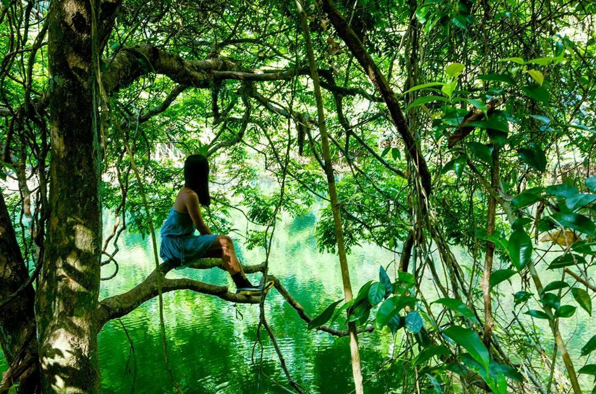 Jungle Eco Reserve Colon Exterior foto