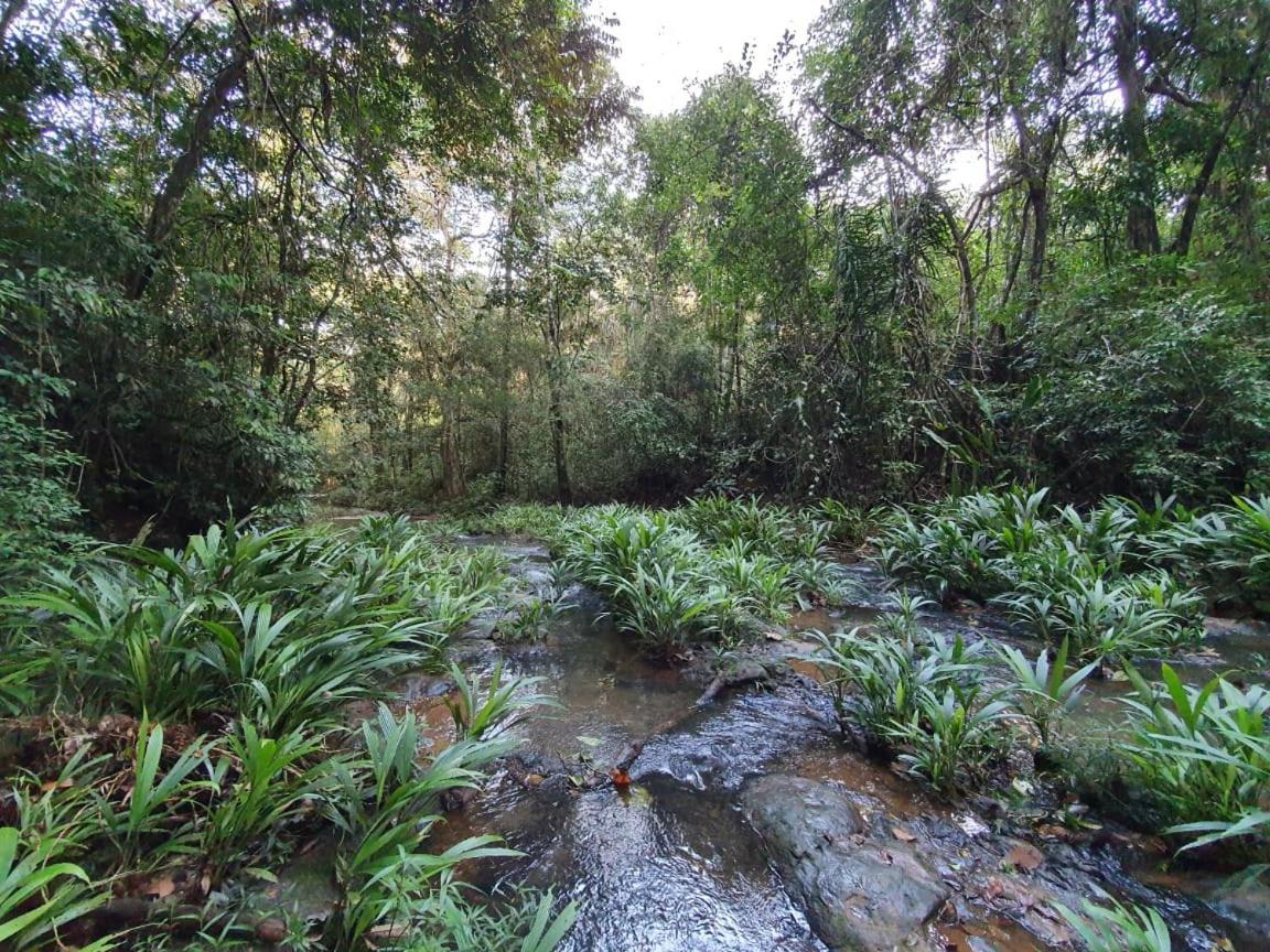Jungle Eco Reserve Colon Exterior foto