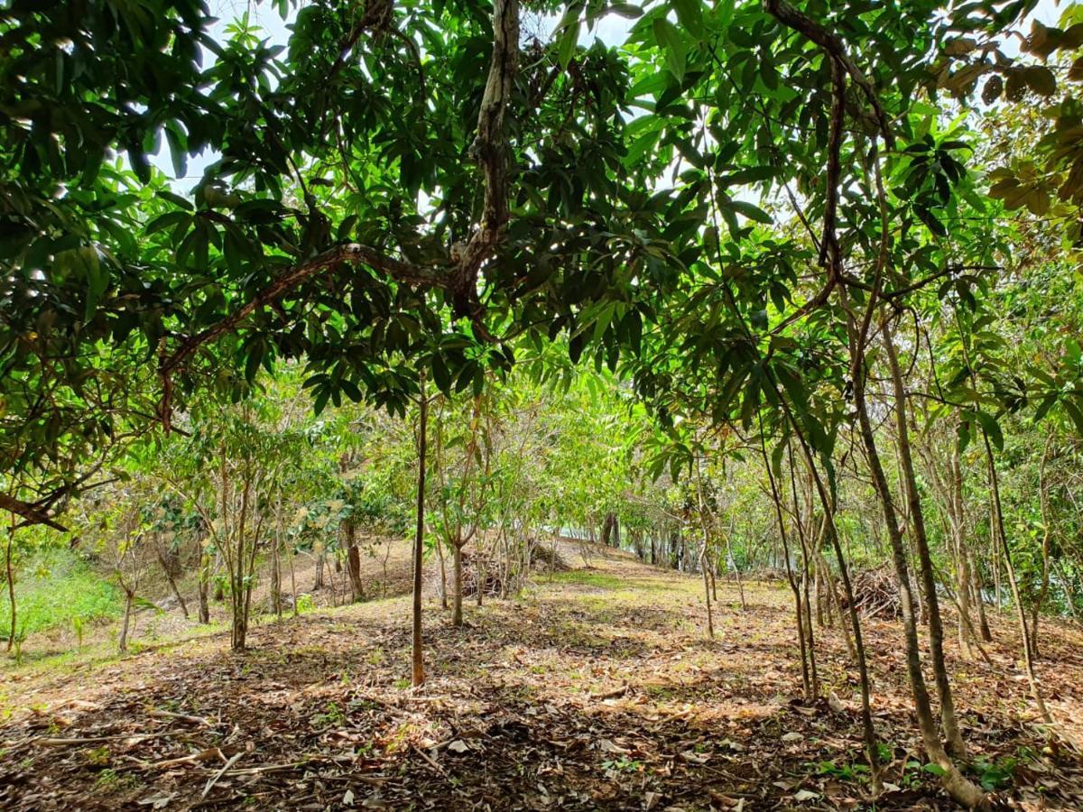 Jungle Eco Reserve Colon Exterior foto