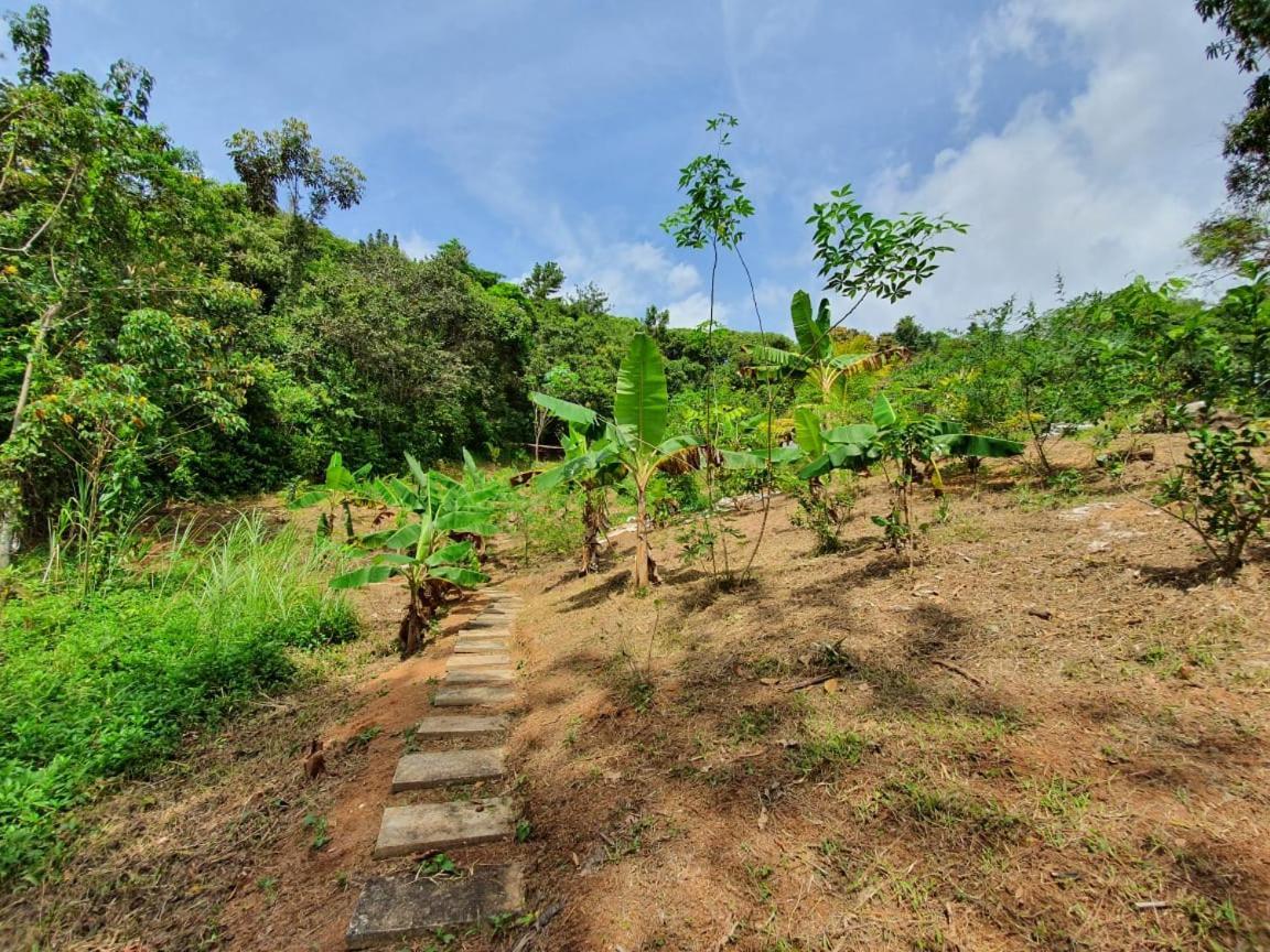 Jungle Eco Reserve Colon Exterior foto