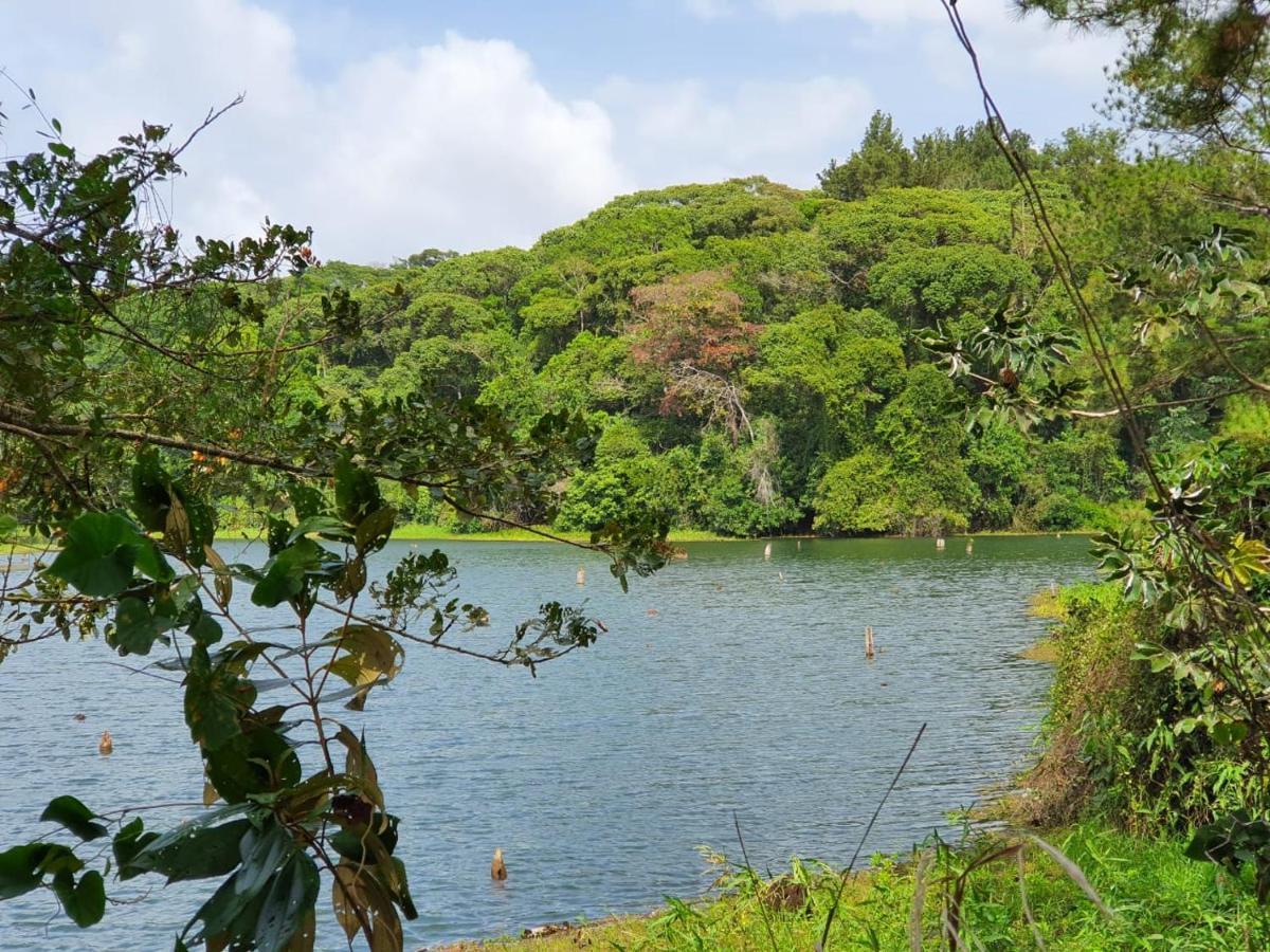 Jungle Eco Reserve Colon Exterior foto